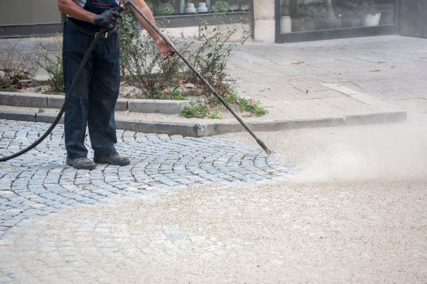 Best Dumpster Area Cleaning  in Clintwood, VA